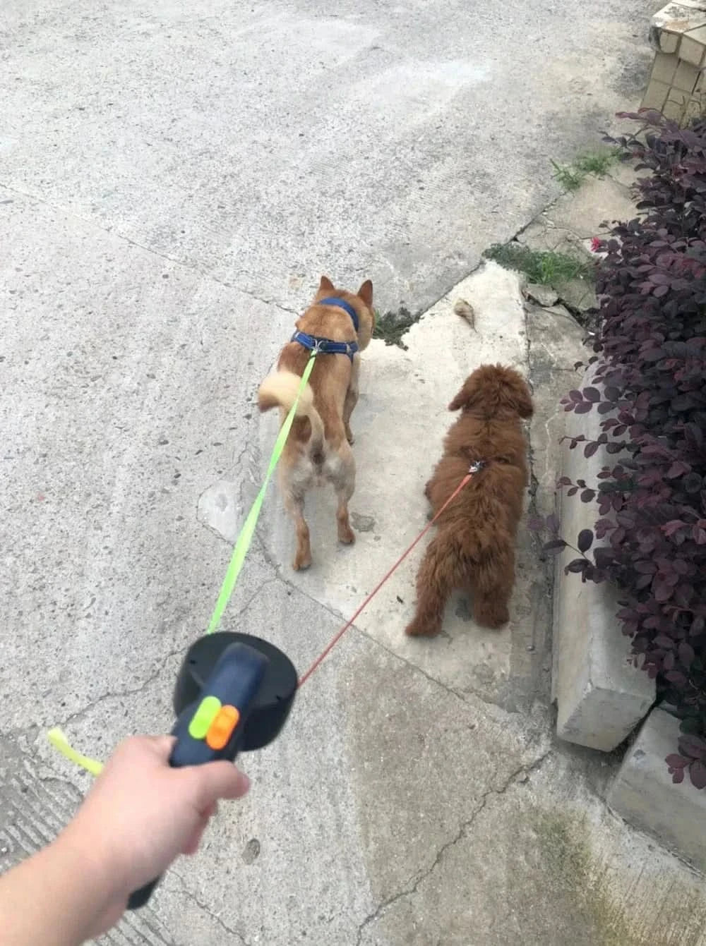 x Heavy-Duty Retractable Dog Leash – Tangle-Free & Durable