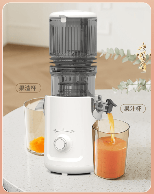 90E Elite Cold Press Slow Juicer with 5‑Stage Squeeze & Easy‑Clean Filter