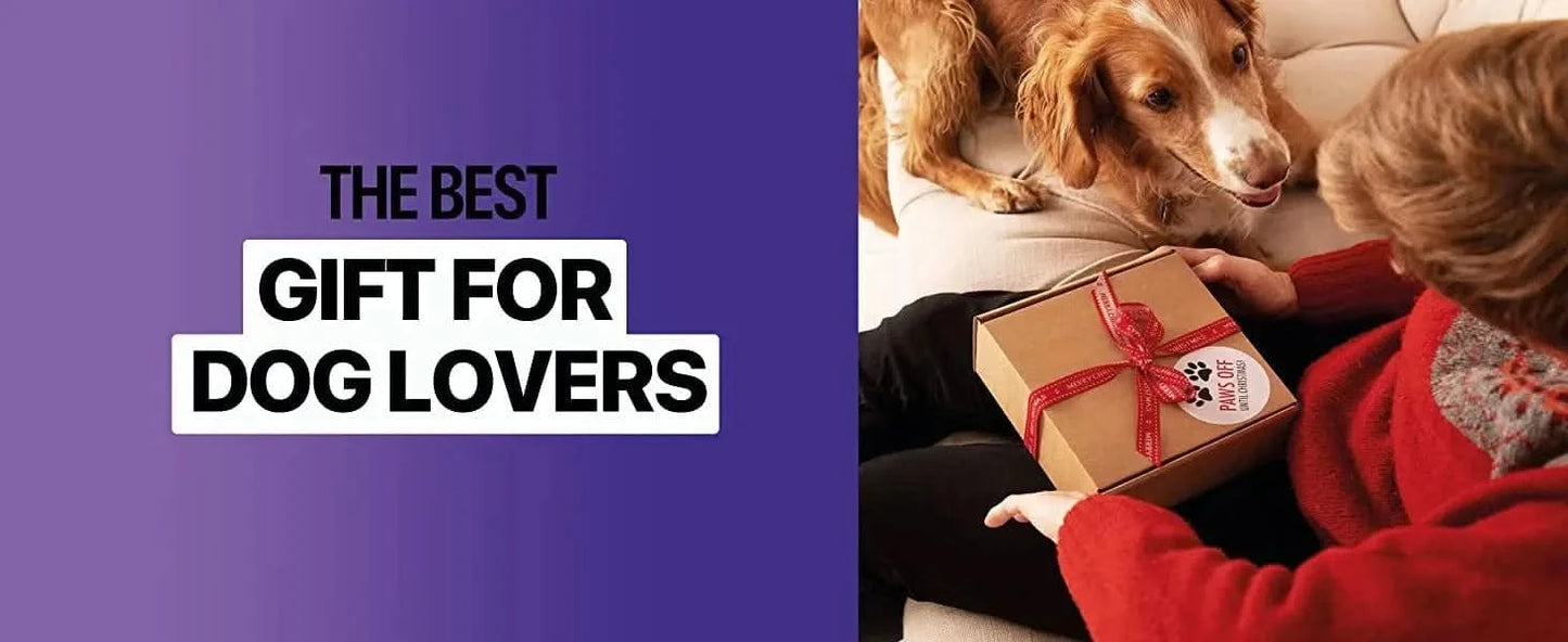 x Ultrasonic Dog Trainer & Repeller โ Effective & Safe