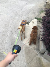 x Heavy-Duty Retractable Dog Leash – Tangle-Free & Durable