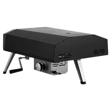 13 Outdoor Pizza Oven Portable Gas Oven Iron Spray Foldable for Camping