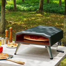 13 Outdoor Pizza Oven Portable Gas Oven Iron Spray Foldable for Camping