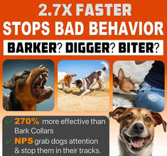 x Ultrasonic Dog Trainer & Repeller – Effective & Safe