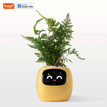 x Yellow AI Smart Planter – Fun & Easy Plant Care