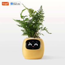 x Yellow AI Smart Planter – Fun & Easy Plant Care