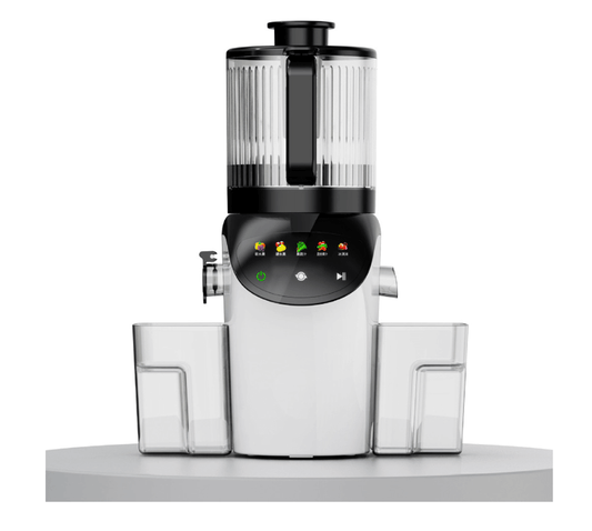 90E Elite Cold Press Slow Juicer with 5‑Stage Squeeze & Easy‑Clean Filter